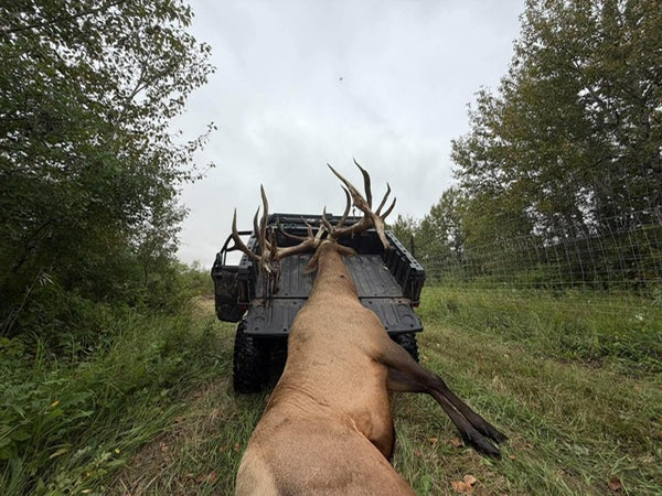 1,800 lb Alberta Bull Elk: Solo Winch Recovery with Headache Rack
